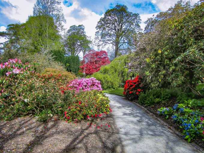 'Down The Path To The Secret Garden', Bodnant Gardens Wales (February 2020)